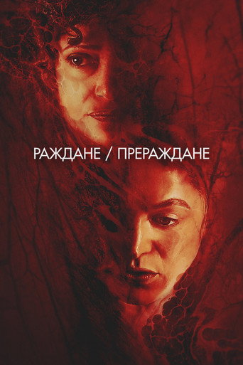 Poster 20