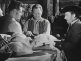 Episodio 2 — Episodio 2