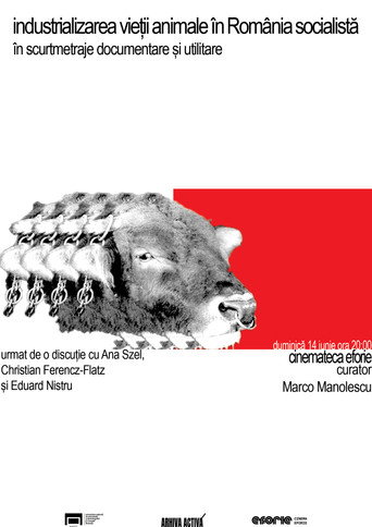 Însămânțarea artificială la taurine