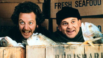 Home Alone 2: Lost in New York backdrop 8