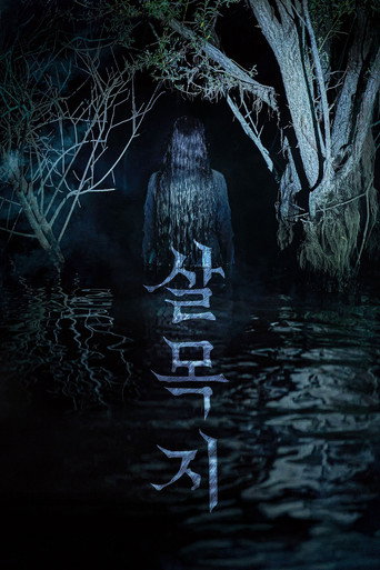 살목지 — Pósters 19
