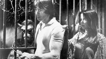 #21 The Funhouse