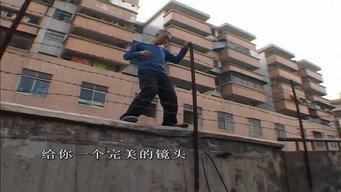 Using (2007)