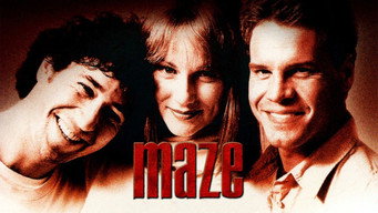 Maze media image