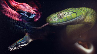 Ten Deadliest Snakes with Nigel Marven (2014- )