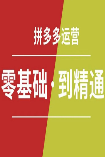 拼多多赚钱全攻略 poster