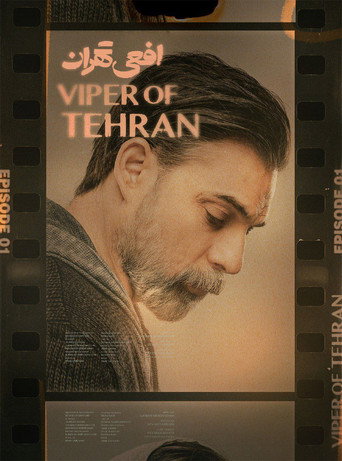 Poster 12