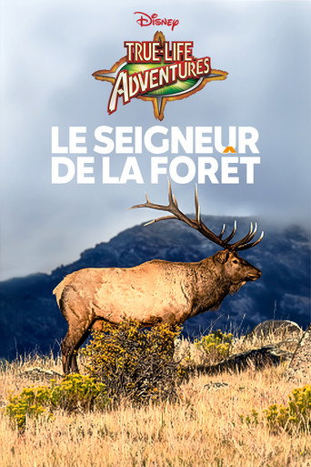 Poster 9