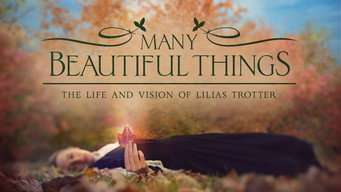 Many Beautiful Things (2015)