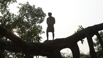 Bison Kaalamaadan (2025)