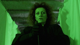 #5 The Spider Labyrinth