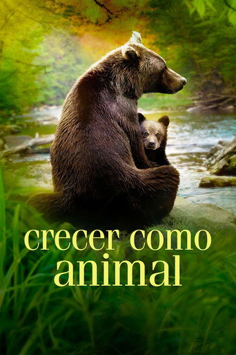Temporada 1 de la serie