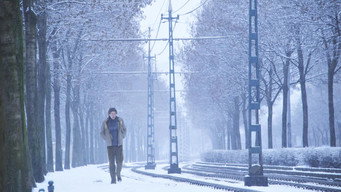 For Some Inexplicable Reason (2014)