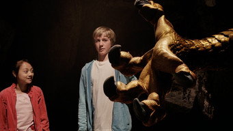The Dragon Pearl (2011)