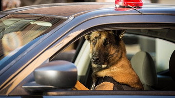 Angie Tribeca T2E9