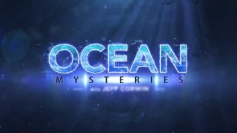 Ocean Mysteries with Jeff Corwin - S4E01