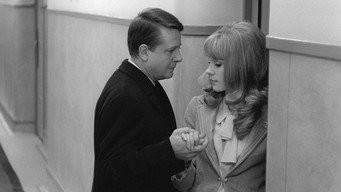 Ніжна шкіра (1964)