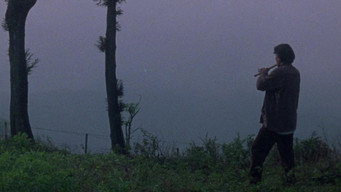 Таксі камікадзе (1995)