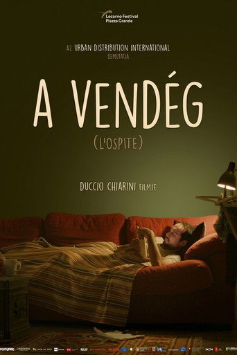 A vendég plakát