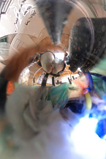 Engine Complex: Bridge/Seed poster