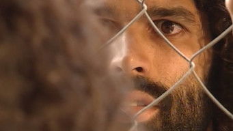 Episodio 166 — Episodio 166