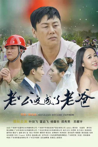 老公变成了老爸 poster