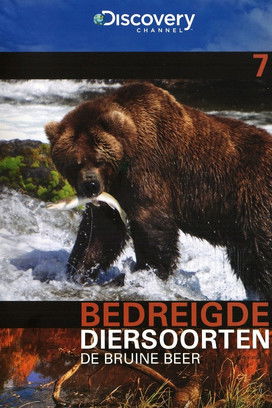 Bedreigde Diersoorten 07: De Bruine Beer