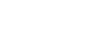 Director by Night logo