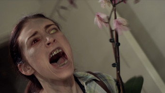 Galeria 2 - Contracted