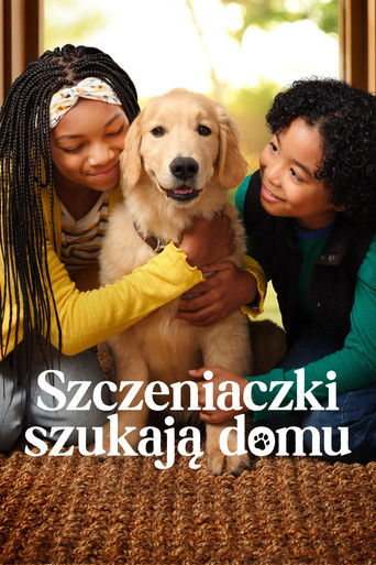 Szczeniaczki szukają domu