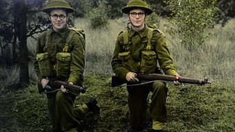 Our boys in Java (2019)