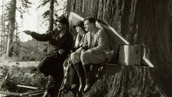 Burning Daylight (1928)