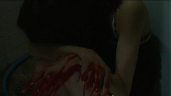 #20 Kotoko