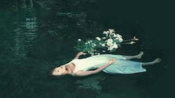 Akame 48 Waterfalls (2003)