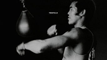 Teofilo: Boxing's Most Revolutionary Champion