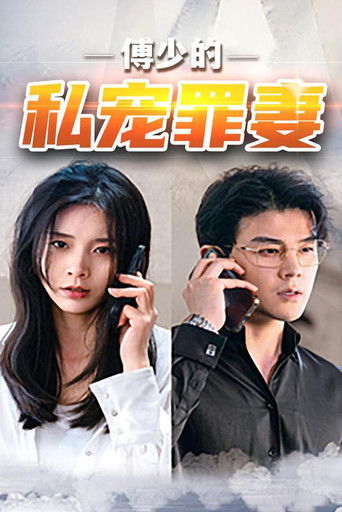 傅少的私宠罪妻 poster