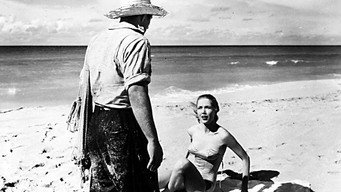 Affair in Havana (1957)