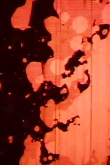 NO. 4 - Organic Bridge poster