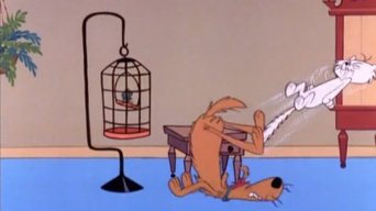 Episode 47