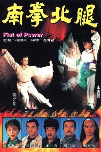 Poster of 南拳北腿