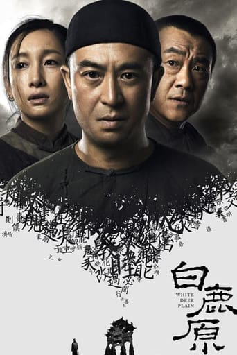 Poster of 白鹿原