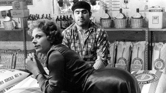 The Visitor (1963)