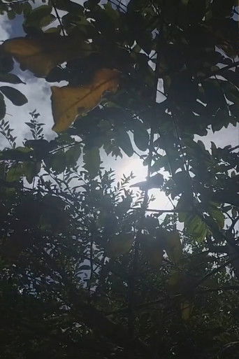 Em homenagem a Manoel Gomes da Silva ou Miguel Elo&iacute;