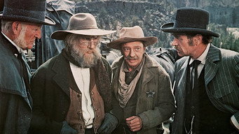 Hot Lead and Cold Feet (1978)