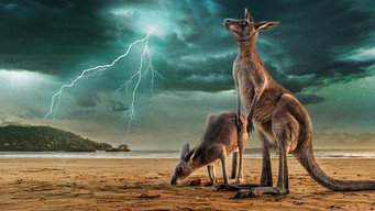 Wild Sky (2025)