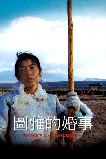 图雅的婚事 (2006)