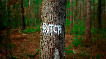 Backlash: Misogyny in the Digital Age (2022)