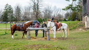 James Denton — photo 20