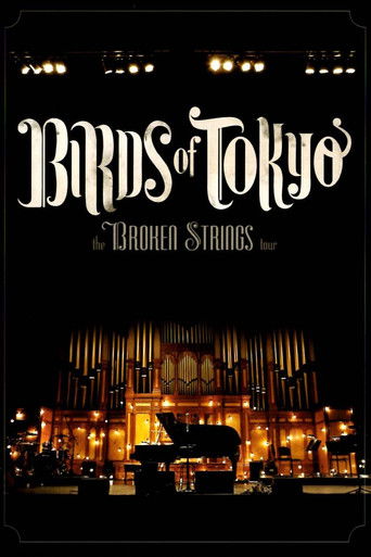 Birds of Tokyo - Broken Strings Tour poster