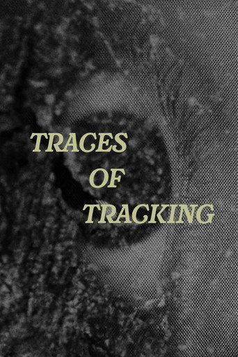 Traces of Tracking (2026)